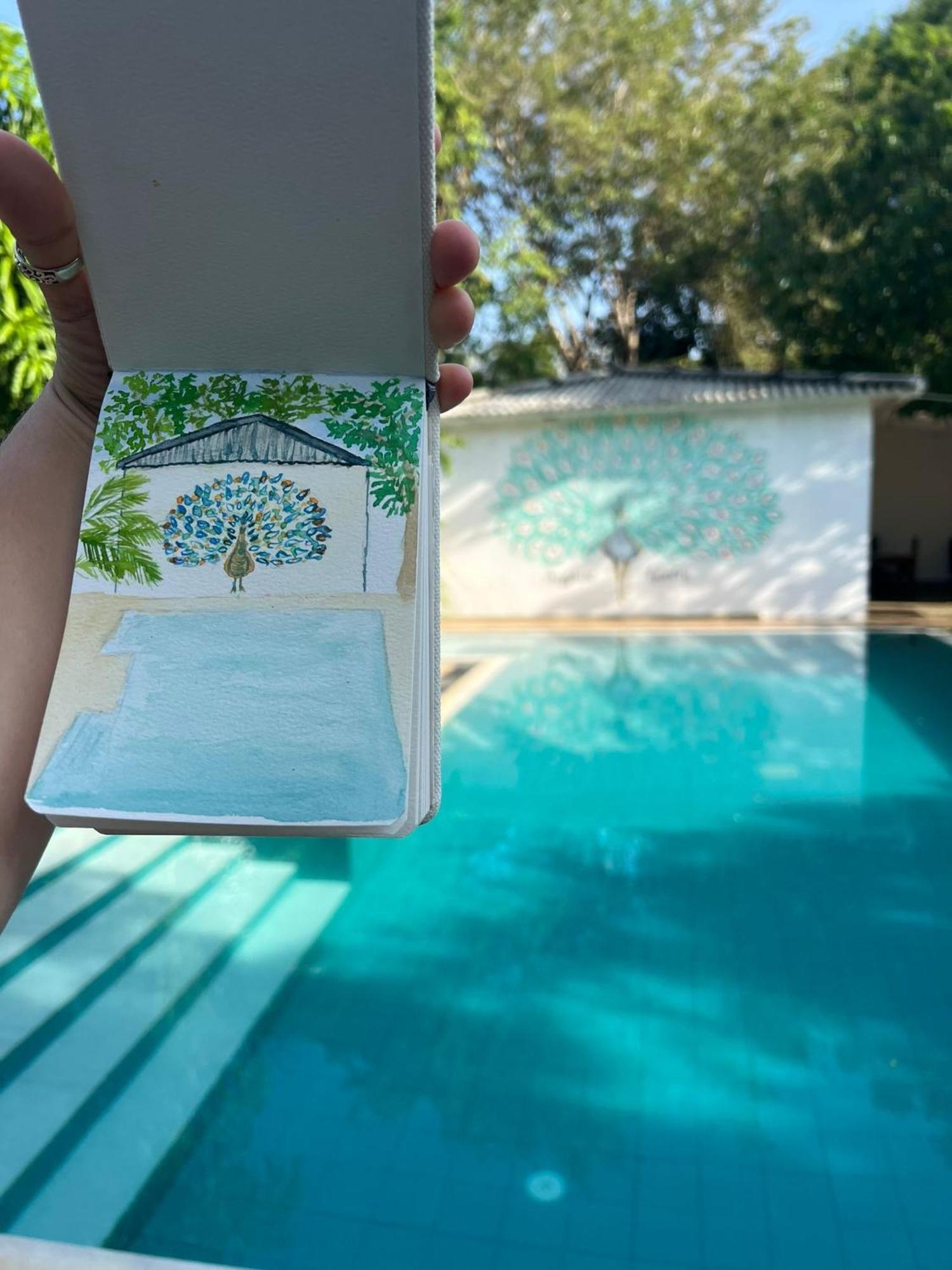 Bed & Breakfast Sapphire Garden *
