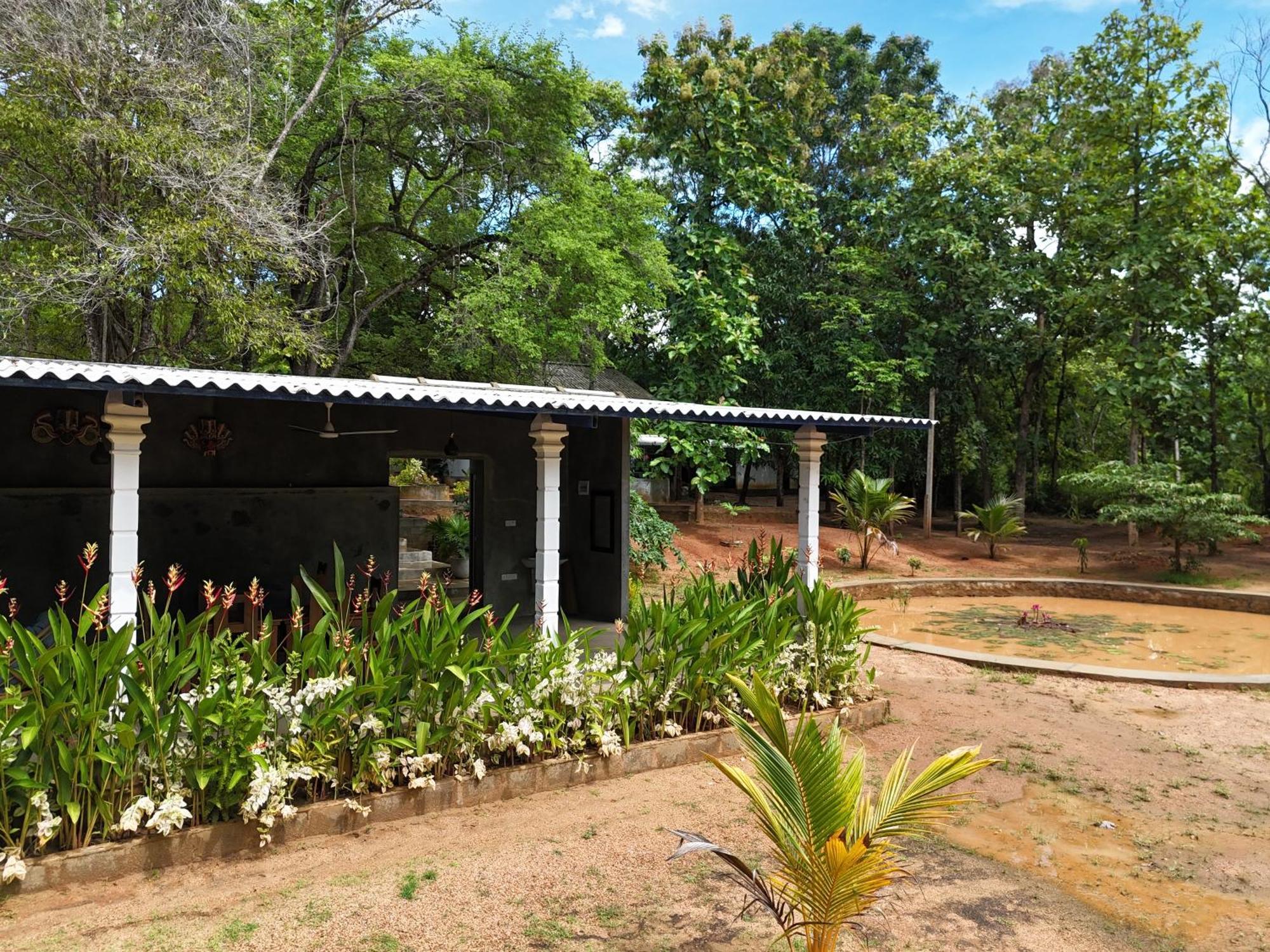 Bed & Breakfast Sapphire Garden